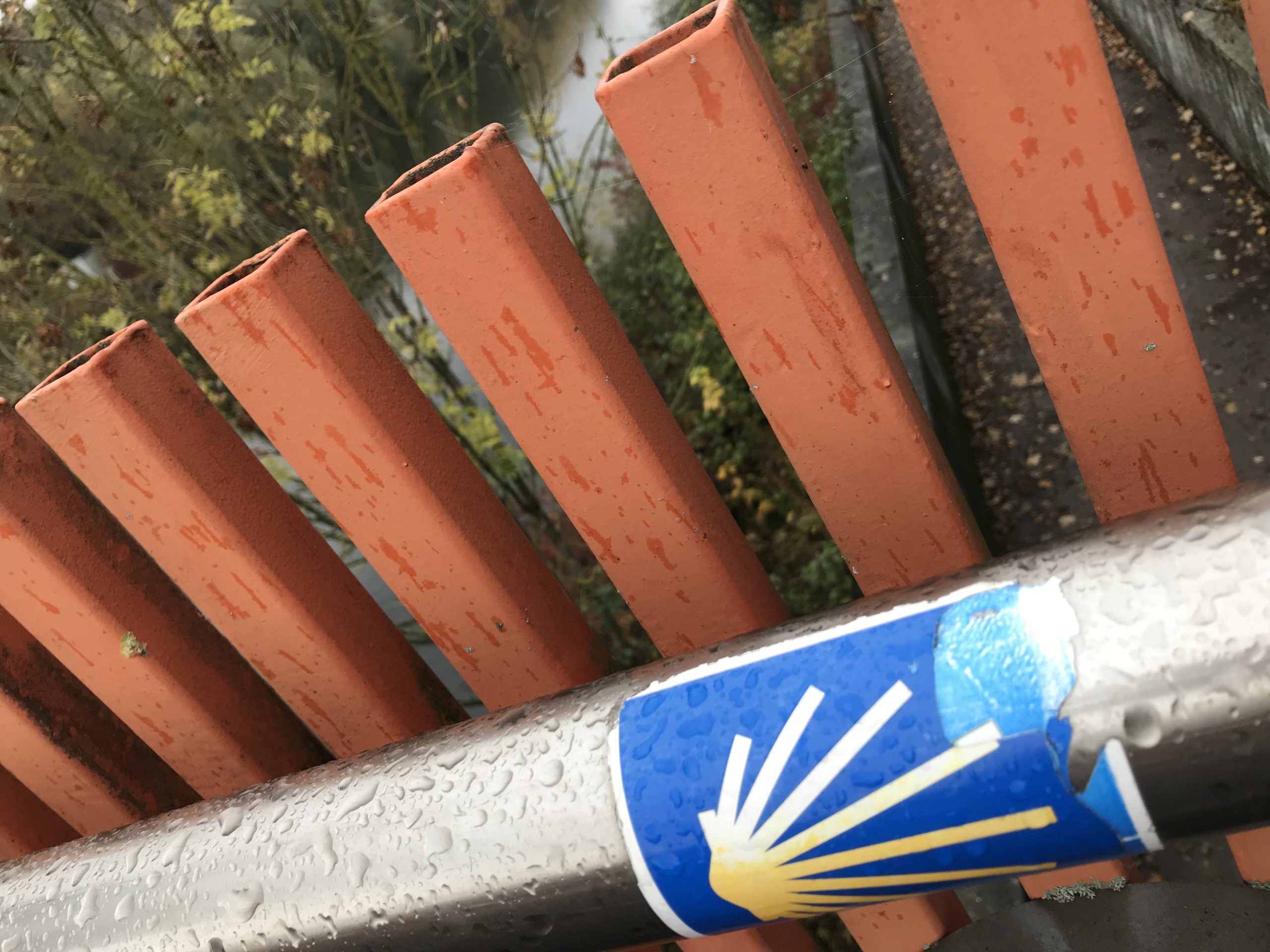 Endlich mal wieder am Jakobsweg