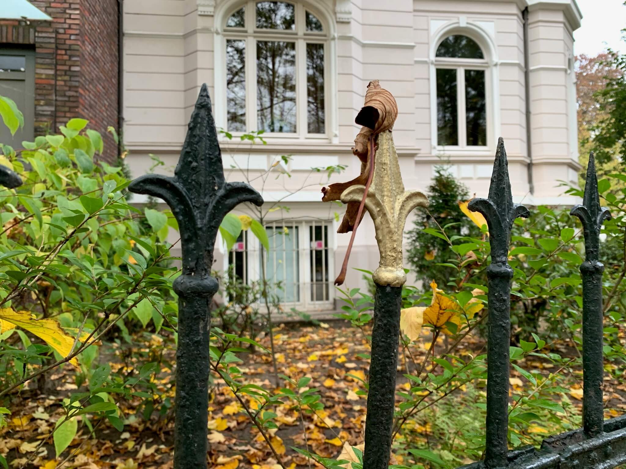 Was tun, wenn die Konkurrenz zu stark ist?