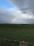 Der Weg gibt dir, was du brauchst