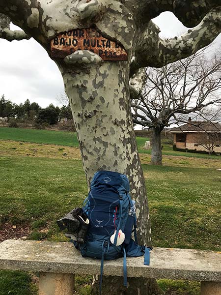 Pilgerrucksack_am_Baum