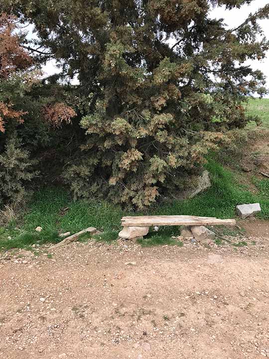 einsame_Bank_Jakobsweg