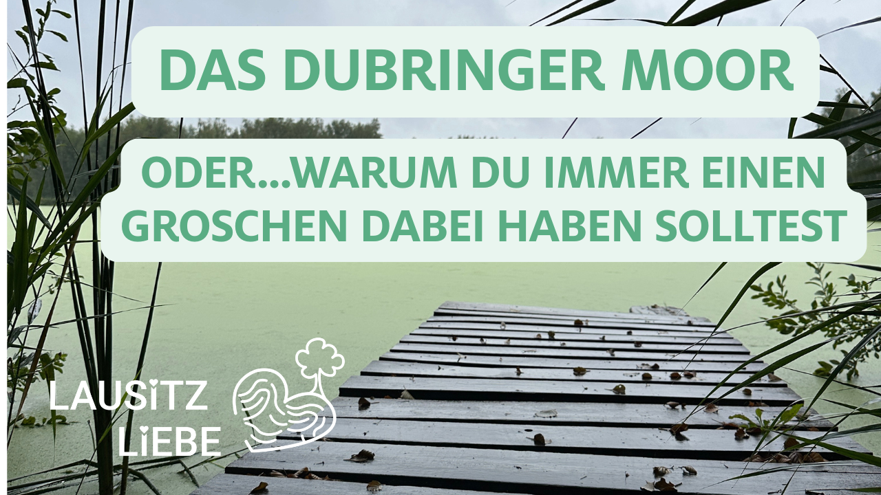 Dubringer Moor Wo man immer einen Groschen…