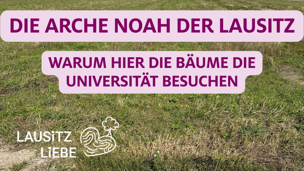 Open Baumuni und Waldgarten Branitzer Park