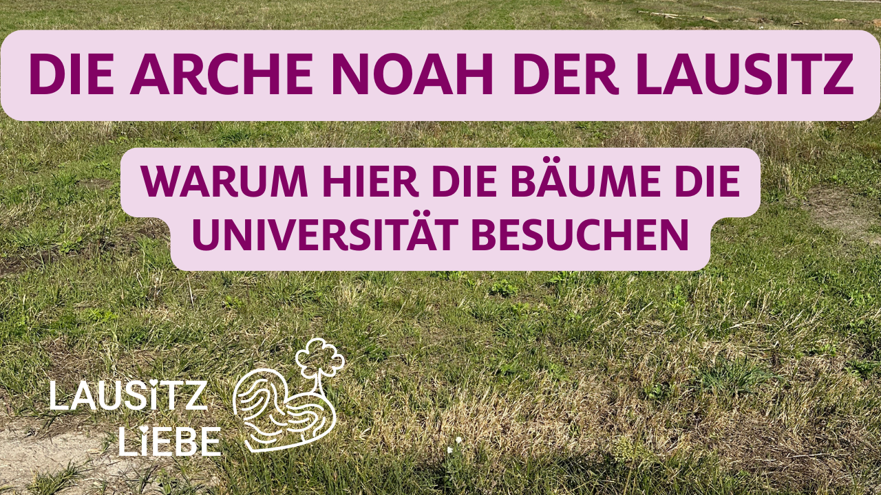 Arche Noah der Lausitz Warum Bäume die Baumuni besuchen