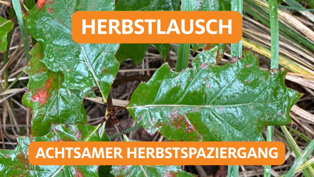 Herbst in der Lausitz mit Lausitzliebe