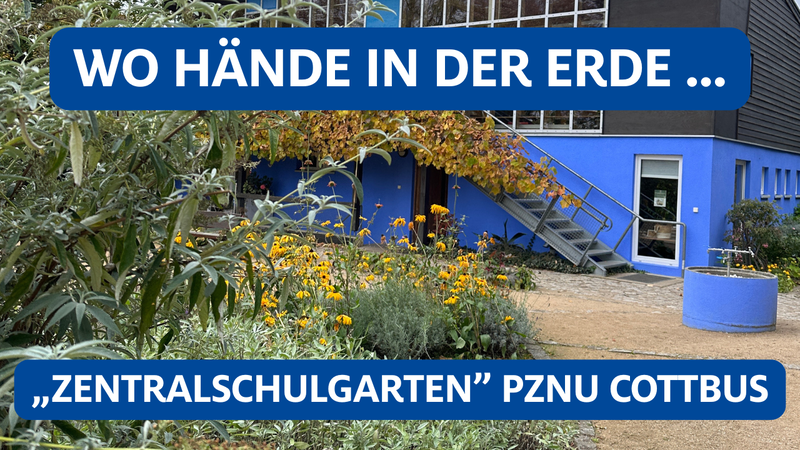 PZNU Schulgarten Cottbus