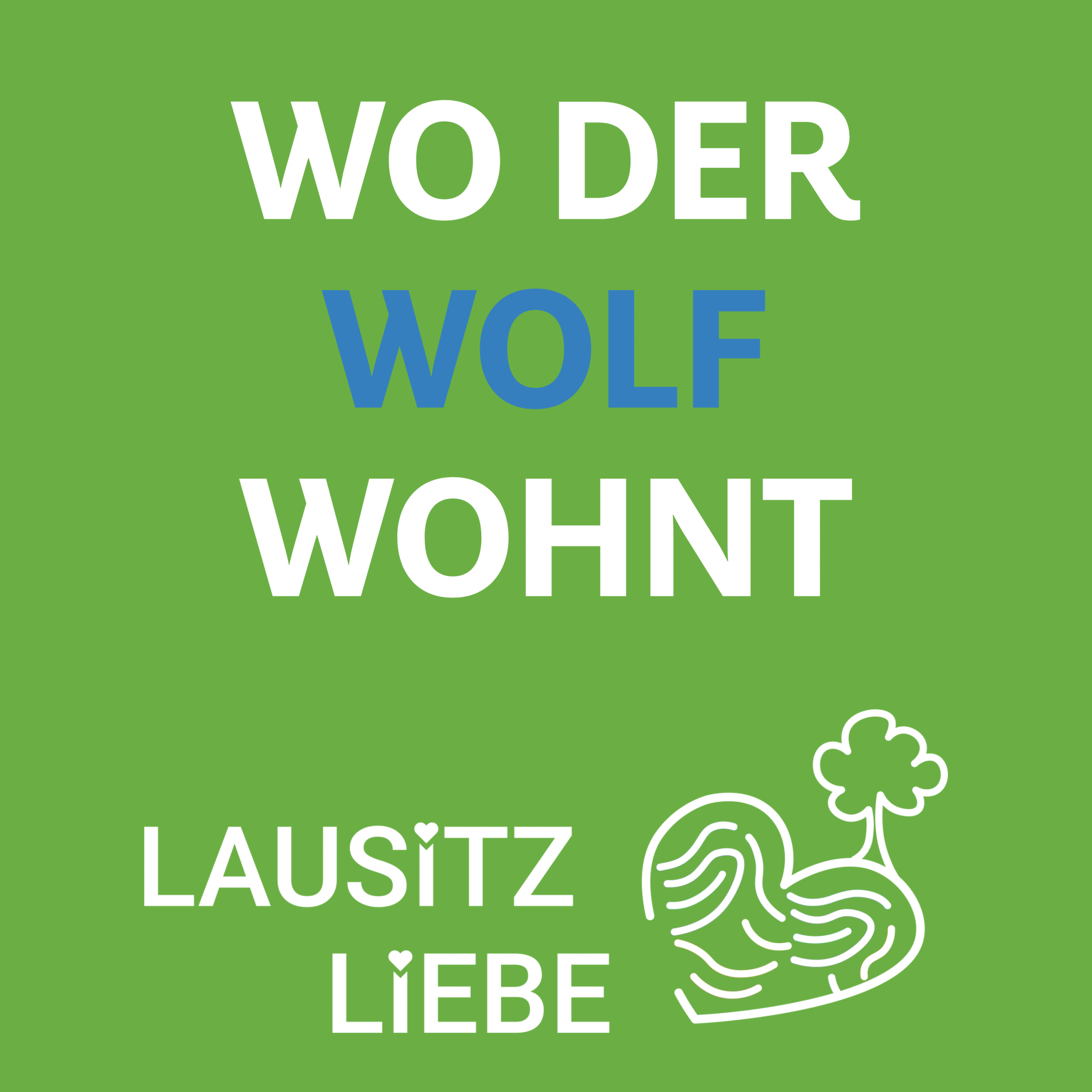 Wo der Wolf wohnt – LausitzLiebe auf Wolfsexkursion