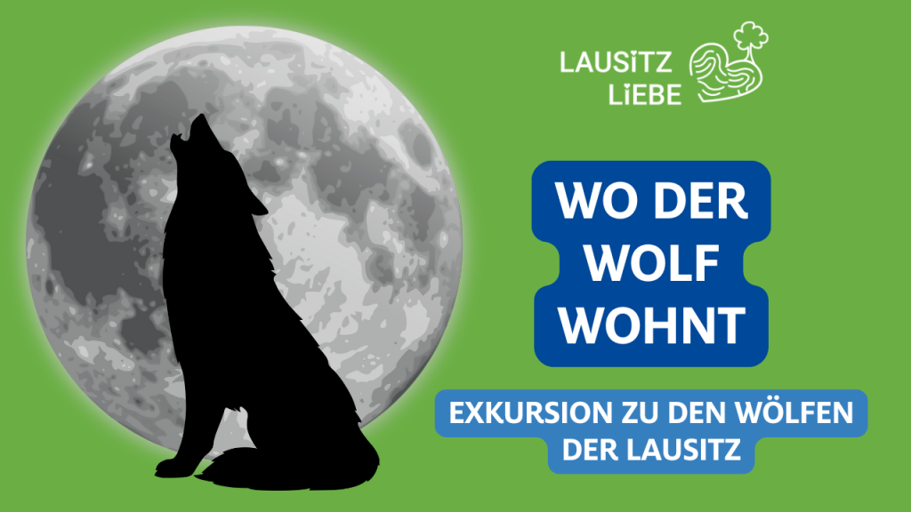 Man sagt, zu Vollmond heulen die Wölfe. Und man sagt auch, dass die Lausitz ein Wolfsgebiet ist. Heute bin ich mit Stephan Kaasche von Wolfswandern draußen und wir gehen auf Spurensuche nach dem Lausitzer Wolf, dem Europäischen Grauwolf. Der Wolfsexperte teilt mit mir und mit dir, ob Wölfe gefährlich sind, wie du dich in der freien Wildbahn verhalten solltest - und wo du - mit etwas Geduld und Glück wirklich Wölfe in der Natur sehen und beobachten kannst. Du bist im Podcast LausitzLiebe. Das ist dein Podcast für Natur und Umwelt aus und für die Lausitz. LausitzLiebe für alle ist mein Motto und ich hoffe, nach dem Hören dieser Folge, auch deins. Hier geht es um Natur, um Achtsamkeit, um Inspiration. Ich nehme dich mit an wunderschöne Naturorte der Lausitz, begleite mit dir Ranger und Naturführer und zeige dir spannende engagierte Initiativen und begebe mich mit dir auf die Spuren der Wölfe in der Lausitz.