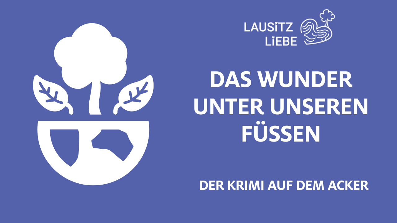 Das Wunder unter unseren Füßen – der Boden