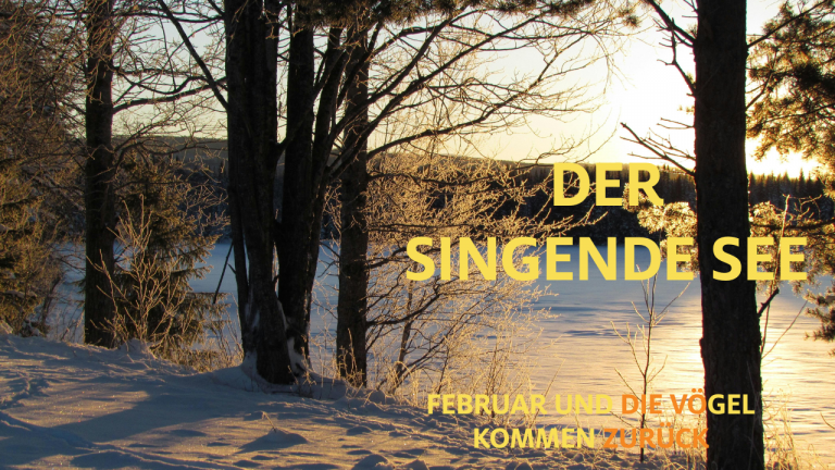 Februar in der Lausitz der singende See, Vogelhochzeit