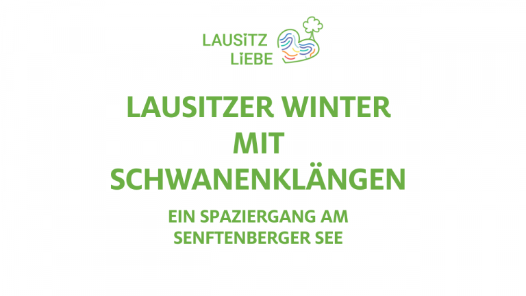 Winter in der Lausitz. Spaziergang am Senftenberger See