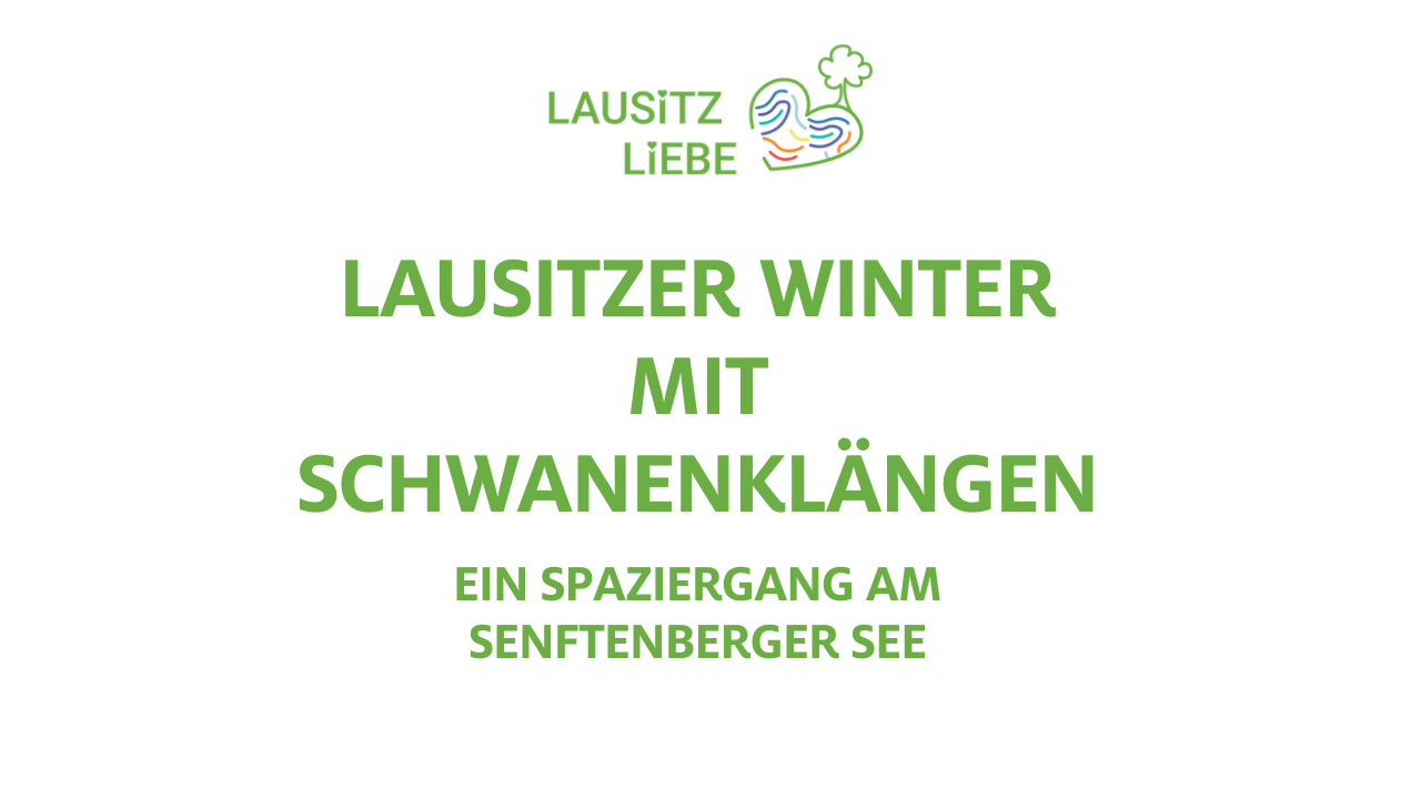 Winter in der Lausitz – Spaziergang am Senftenberger See
