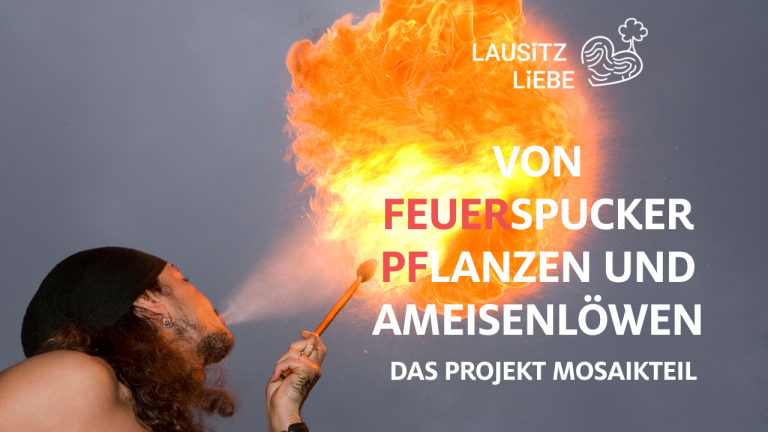 MosaikTeil Feuerspuckerpflanzen und Ameisenlöwen Senckenberg Naturkunde Görlitz