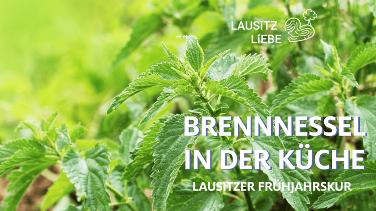Frühjahrskur Lausitz: Mit Wildkräutern fit in den Frühling