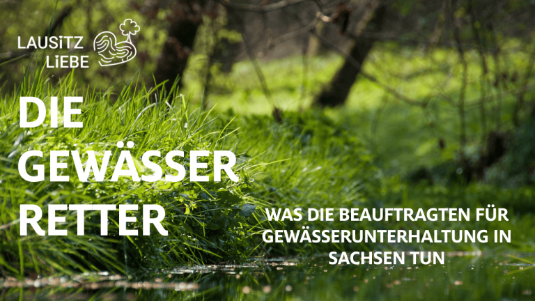 Die Gewässerretter LausitzLiebe Lausitz Flüsse und Bäche Wasser Lausitz
