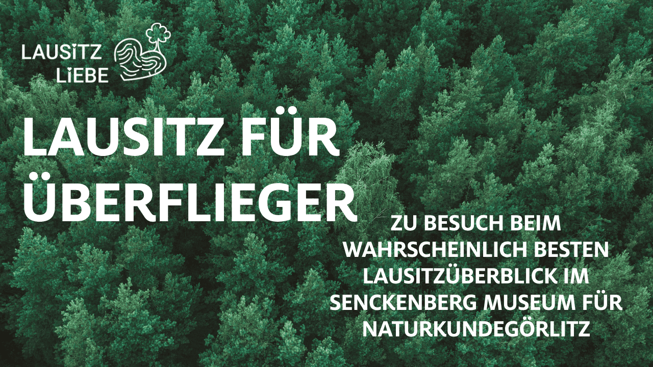 Überflieger Lausitz – Museum für Naturkunde Görlitz