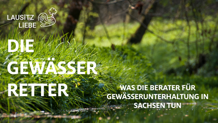 Die Gewässerretter LausitzLiebe Lausitz Flüsse und Bäche Wasser Lausitz