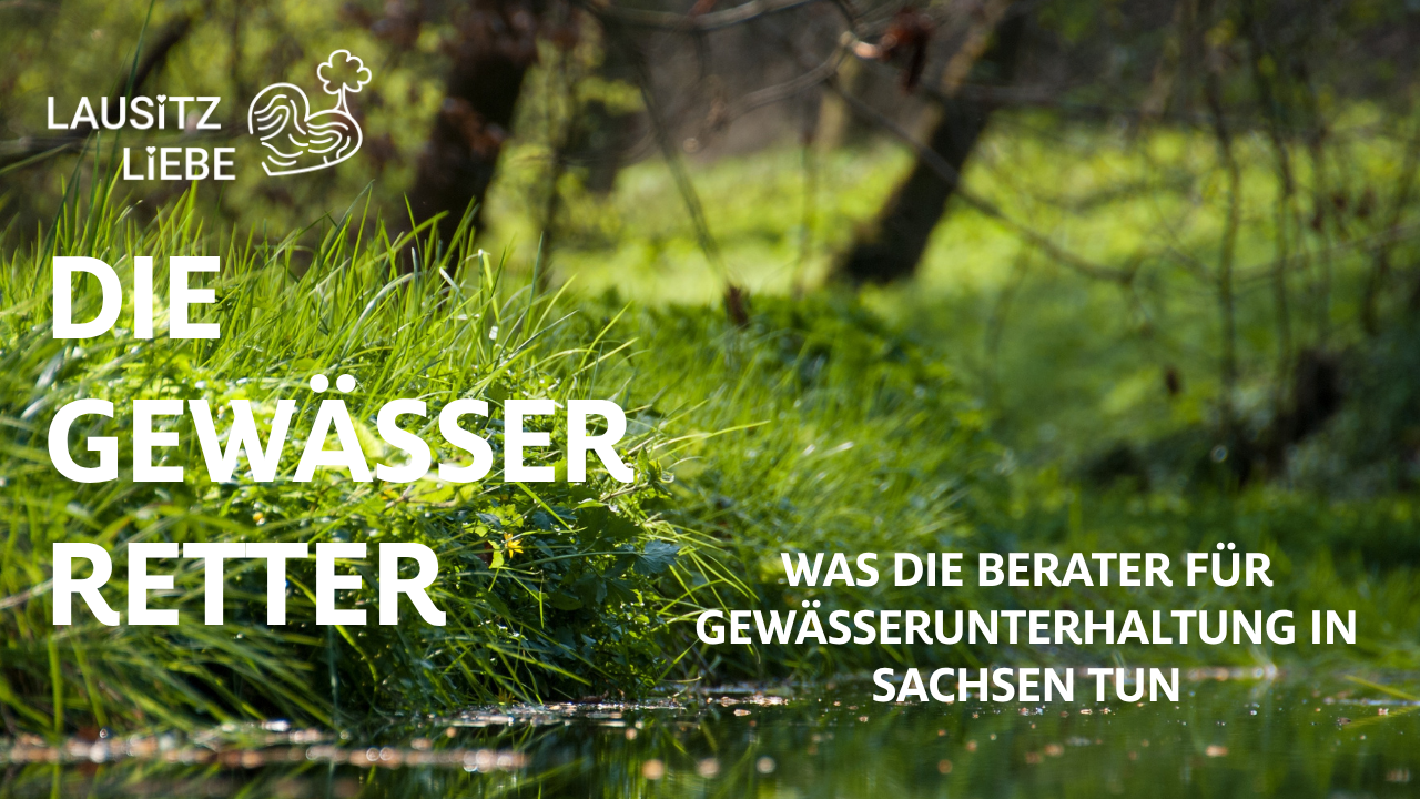 Die Gewässer-Retter