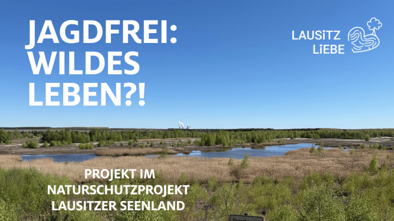 Jagdfreie Lausitz - wildes Leben Lausitzliebe