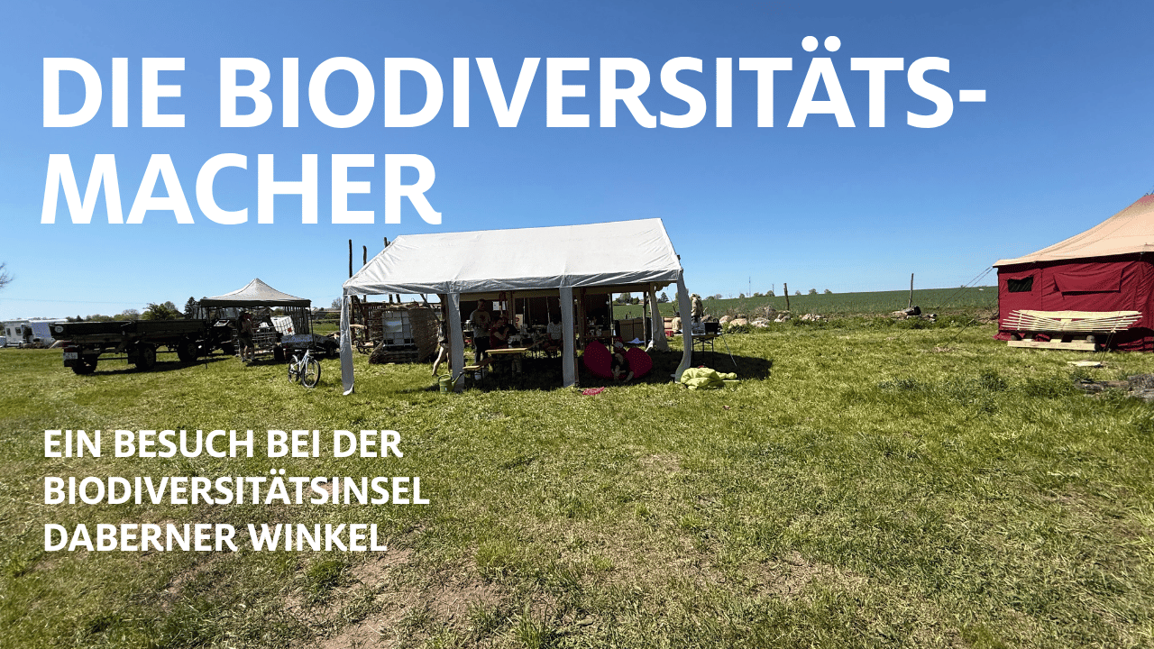 Die Biodiversitätsmacher – Trittsteinbiotope auf dem Acker